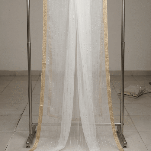 Gemini_Generated_Image_umt189umt189umt1.png Premium Beige Organza Dupatta