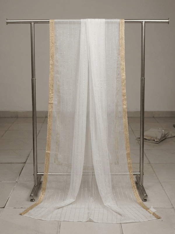 Premium Beige Organza Dupatta